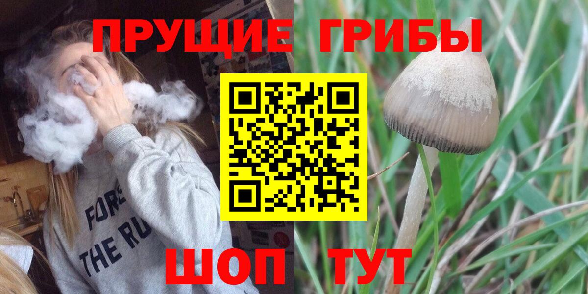 Псилоцибиновые грибы мицелий  Вход с VPN  Псилоцибиновые грибы мухоморы  Тихорецк 
